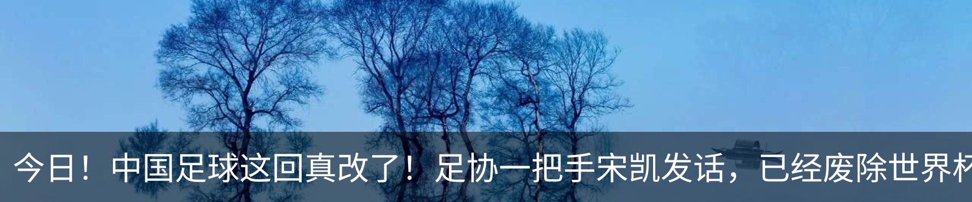 新闻动态