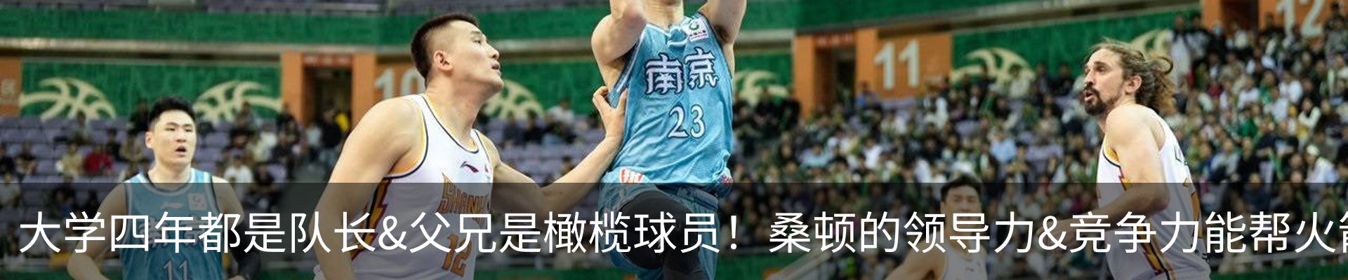 新闻动态