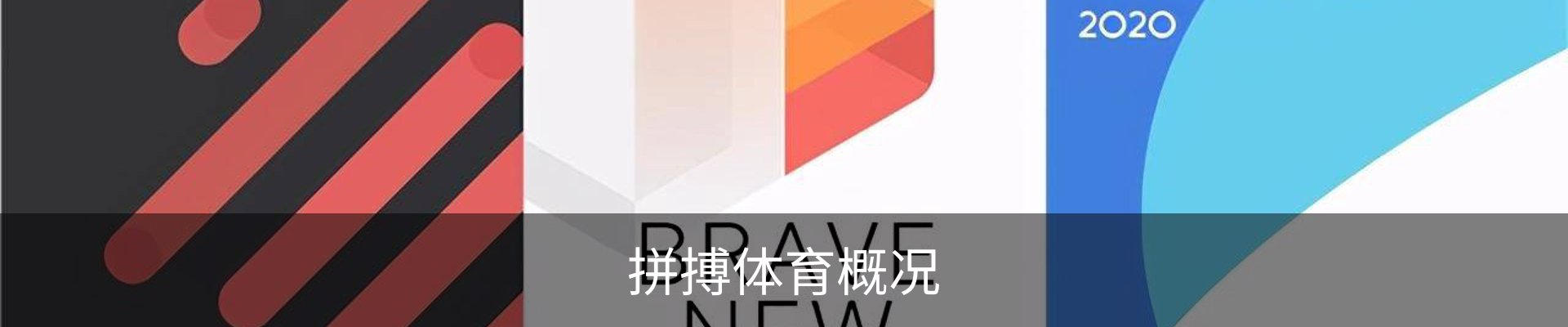 拼搏体育概况