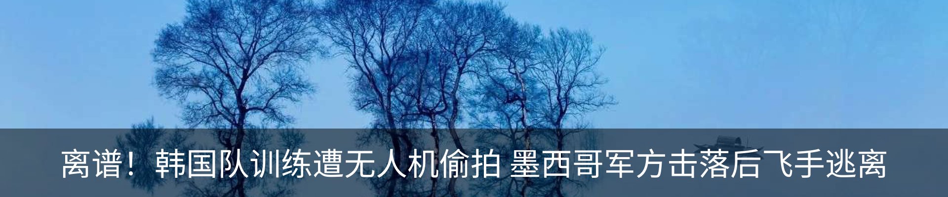 新闻动态