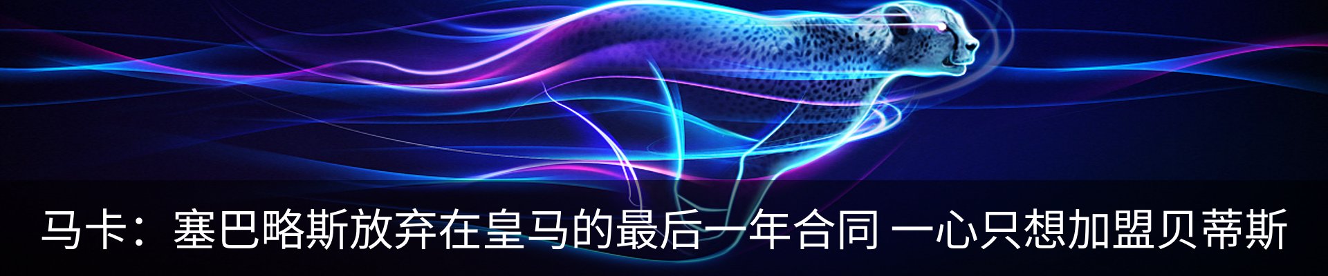 新闻动态